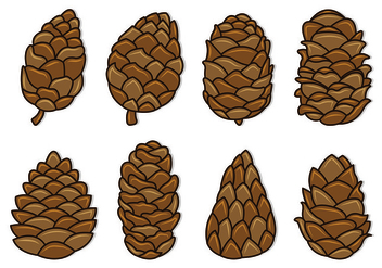 Set Of Pine Cones Vectors - vector gratuit #435379